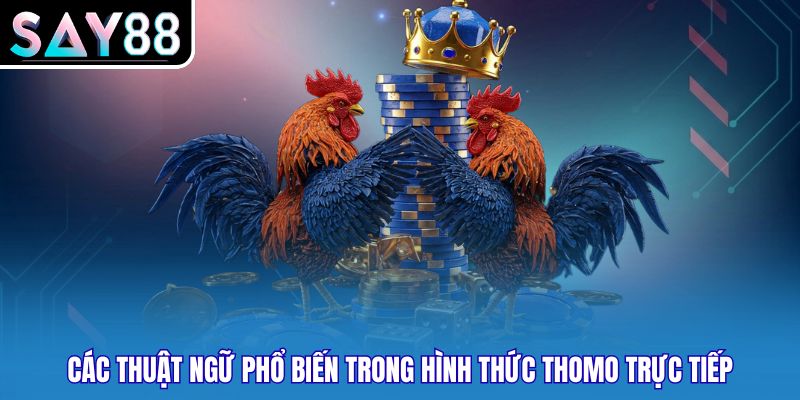 Các thuật ngữ phổ biến trong hình thức thomo trực tiếp