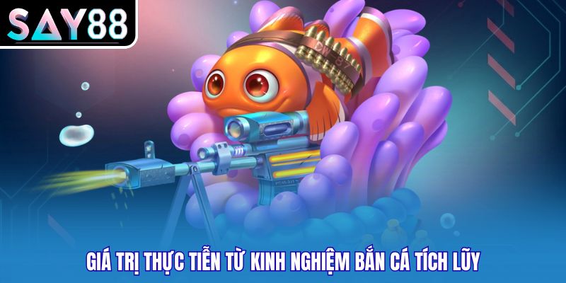 Giá trị thực tiễn từ kinh nghiệm bắn cá tích lũy