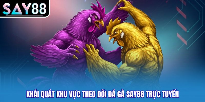 Khái quát khu vực theo dõi Đá gà SAY88 trực tuyến