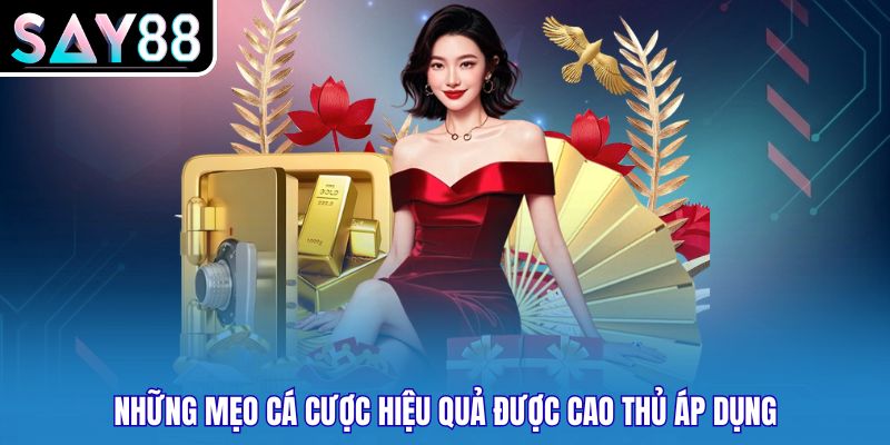Những mẹo cá cược hiệu quả được cao thủ áp dụng