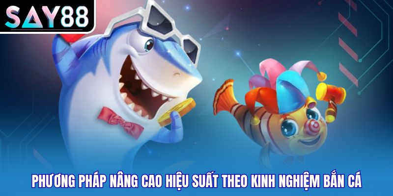Phương pháp nâng cao hiệu suất theo kinh nghiệm bắn cá