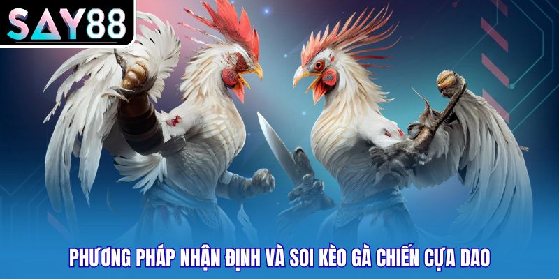 Phương pháp nhận định và soi kèo gà chiến cựa dao