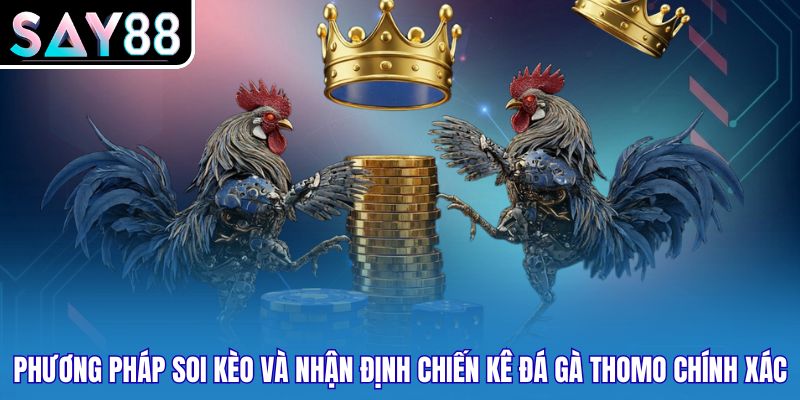 Phương pháp soi kèo và nhận định chiến kê đá gà thomo chính xác
