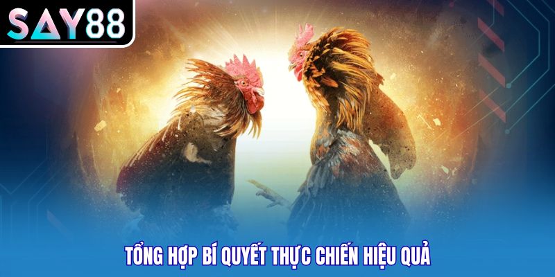 Tổng hợp bí quyết thực chiến hiệu quả