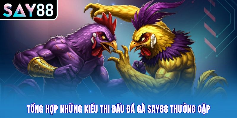 Tổng hợp những kiểu thi đấu Đá gà SAY88 thường gặp